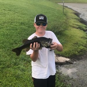 Meet your Posher, Logan